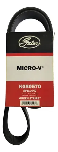 CORREA MICRO V  K080570
