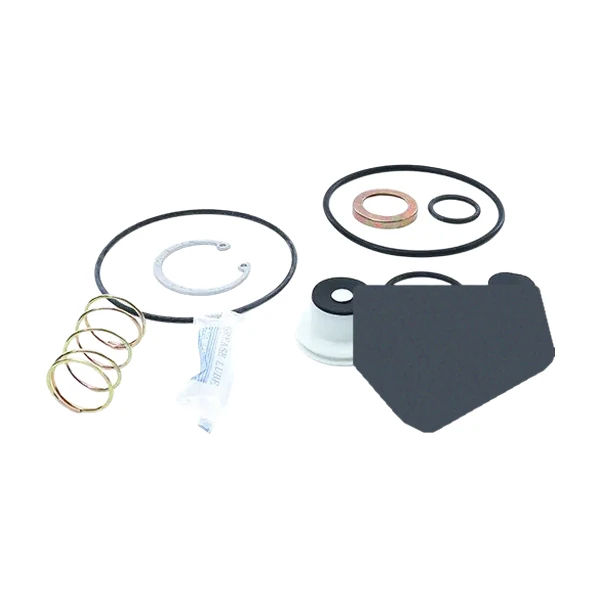 KIT BASICO REPARACION ACCESORIOS VALVULA RELAY R12-R14 102802