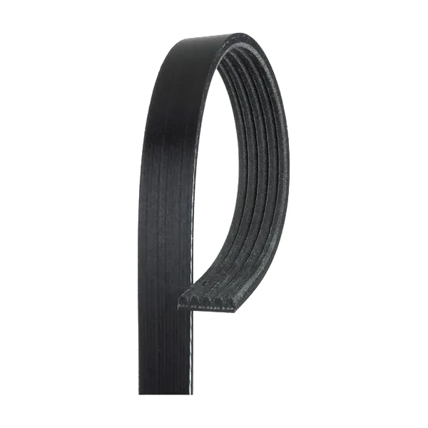 FAJA ACANALADA BANDO CIGUEÑAL  ALT C/B AGUA  8PK2020
