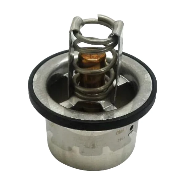 TERMOSTATO POST MACK CON SUSP 39860