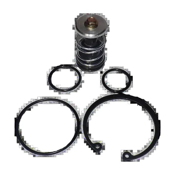 KIT REPARACION DE VALVULA PURGA K022105 AD-IP AD-IS