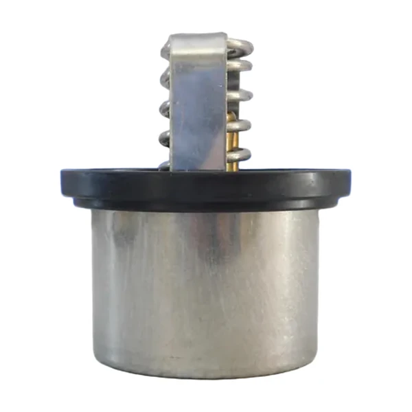 681830  DDC23503825  TERMOSTATO DETROIT S60