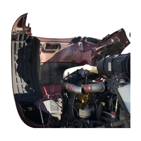 PANEL MOSQUETERO (JGOx2) INTERNO DE LA MASCARA KENWORTH T660